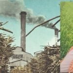 agriculture industry