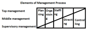 Elements of Management Process
