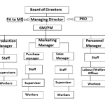 Line and staff Organisation
