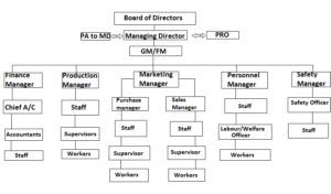 Line and staff Organisation