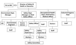 Line and staff function of safety