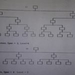 SPAN MANAGEMENT