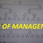 SPAN OF MANAGEMENT