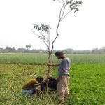 RLS HUMAN CARE TREE PLANTING