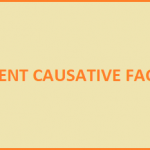 ACCIDENT CAUSATIVE FACTORS human factor