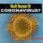 coronavirus human care