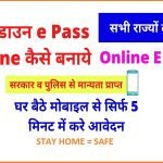 Lockdown Epass online