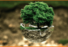 ENVIRONMENT MANAGEMENT PLAN FOR CONSTRUCTION