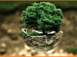 ENVIRONMENT MANAGEMENT PLAN FOR CONSTRUCTION