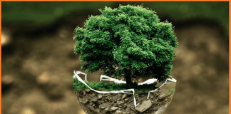 ENVIRONMENT MANAGEMENT PLAN FOR CONSTRUCTION