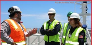 Environment Officer Job