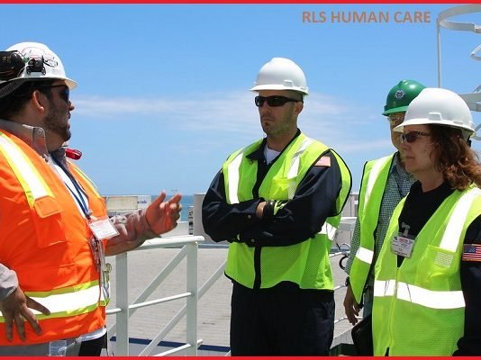 Environment Officer Job