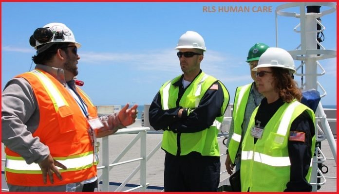 Environment Officer Job