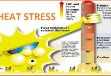 Heat Stress at work plce