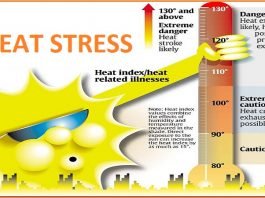 Heat Stress at work plce