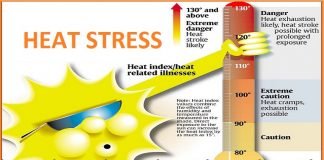 Heat Stress at work plce