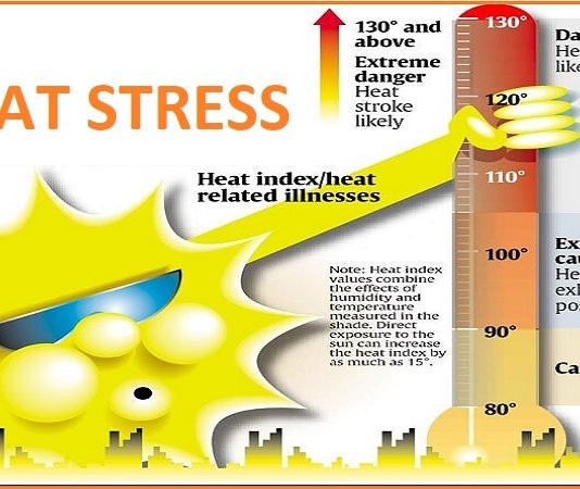 Heat Stress at work plce