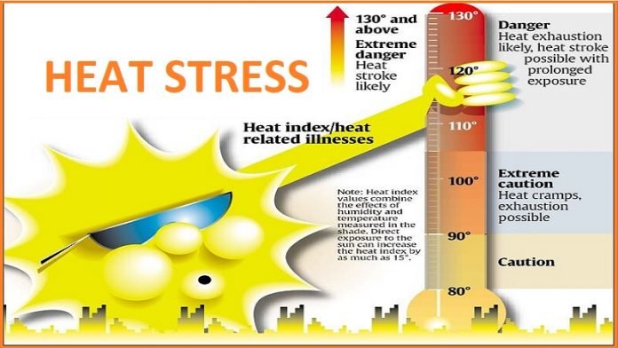Heat Stress Safety Heat Stress at work plce