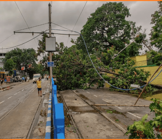 Cyclone Michaung Tamil Nadu