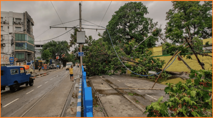 Cyclone Michaung Cyclone Michaung Tamil Nadu