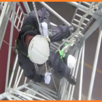 Secondry-Fall-protection