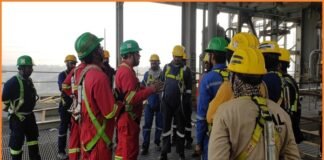 Perception Surveys in Organization