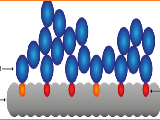 Understanding Adsorption: The Surface Phenomenon Explained