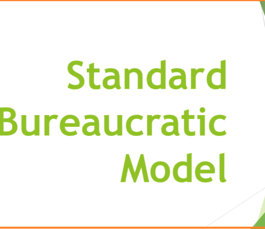 Standard Bureaucratic Model Origins, Features, and Impacts