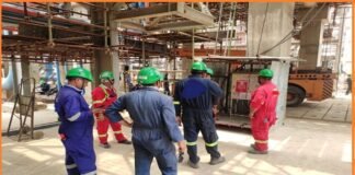 The Advantages of Departmental Auditing and the Development of Management System Audit Programs