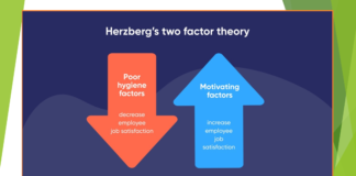 Frederick Herzberg's Motivation-Hygiene Theory