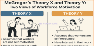 McGregor’s Theory X and Theory Y Two Views of Workforce Motivation