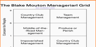 The Blake Mouton Managerial Grid Understanding Leadership Styles