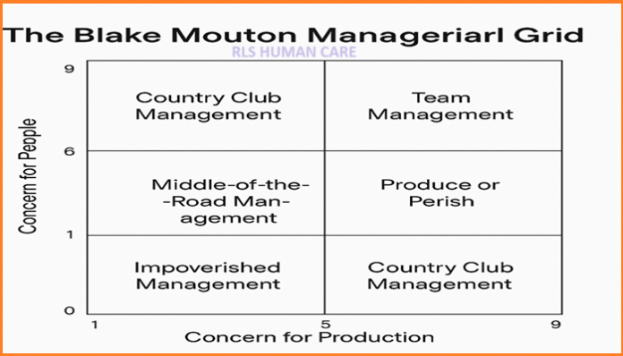The Blake Mouton Managerial Grid Understanding Leadership Styles